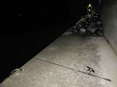 太刀魚ワインド