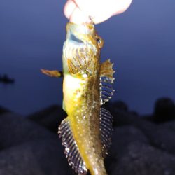 フロートリグとジグ単