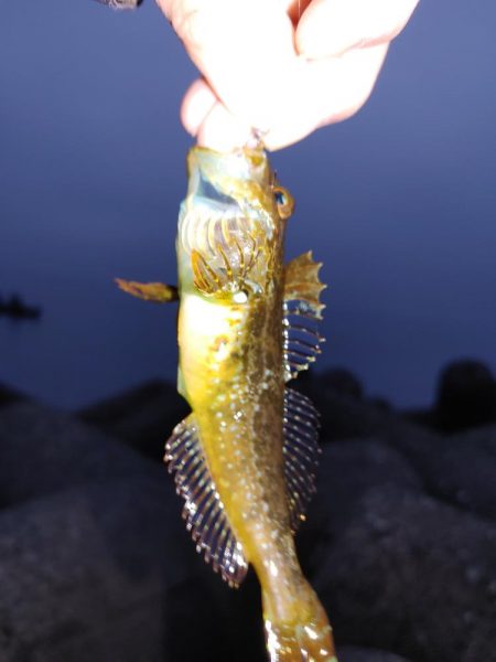 フロートリグとジグ単