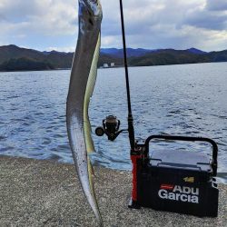 太刀魚ワインド