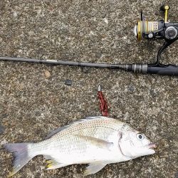 ズル引きチニング