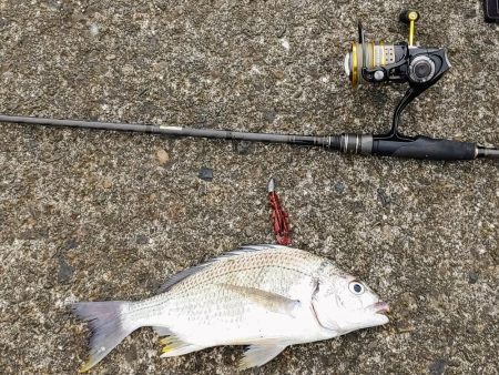 ズル引きチニング