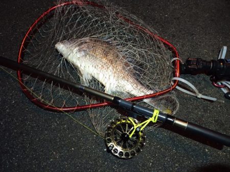 2023/01/09 南港ヘチ釣り釣行