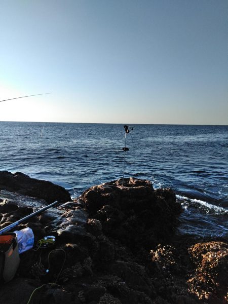フカセ‥最高ですネ・・