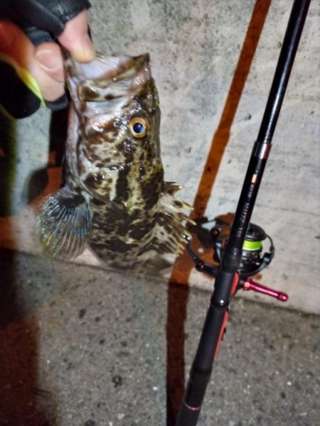 2023/01/23 南港ライトゲーム釣行