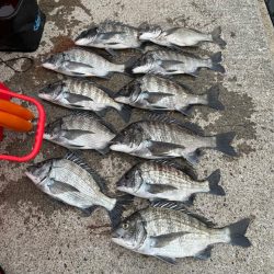 岡山県牛窓釣行