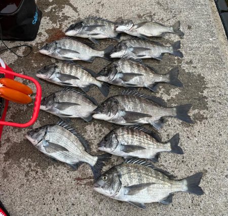 岡山県牛窓釣行