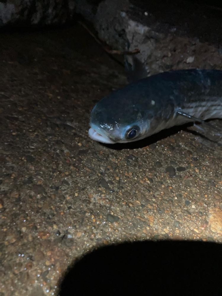 着水と同時にドカン！