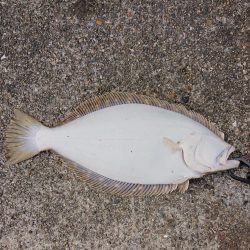 年末年始の釣行記