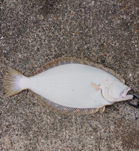 年末年始の釣行記