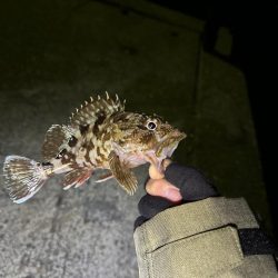 年越しフィッシング