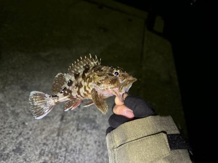 年越しフィッシング