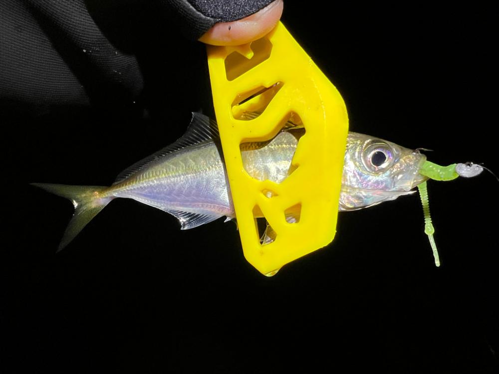 鯵を探して三千里Vel.24