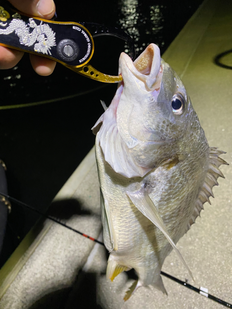 ヘチってきました