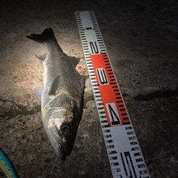 大寒中の釣行に成功