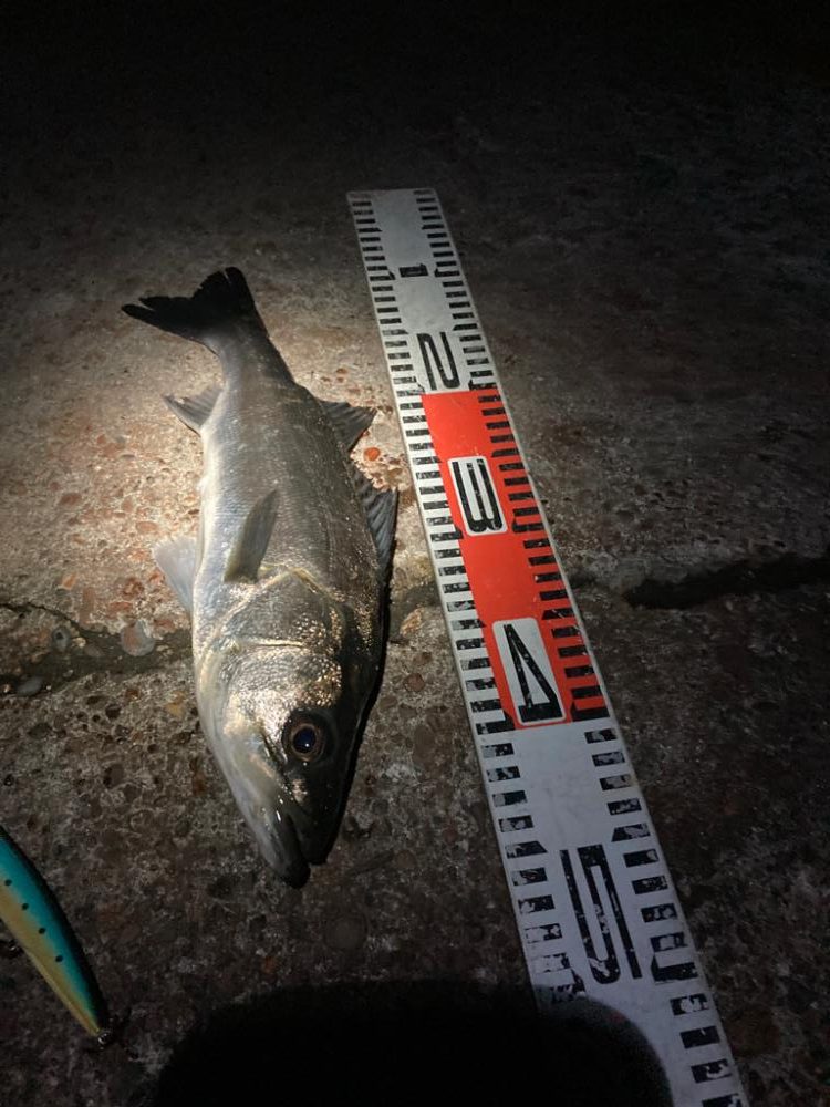 大寒中の釣行に成功