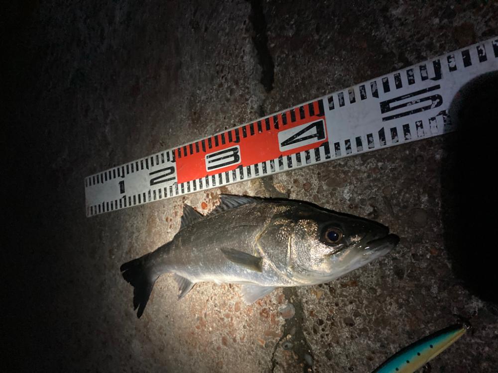 大寒中の釣行に成功
