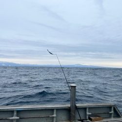オフショアジギングin白老
