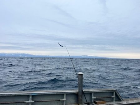 オフショアジギングin白老