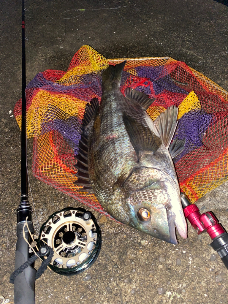 ヘチってきました