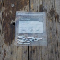 ワカサギ第7戦ー今日も佐仲ダムー