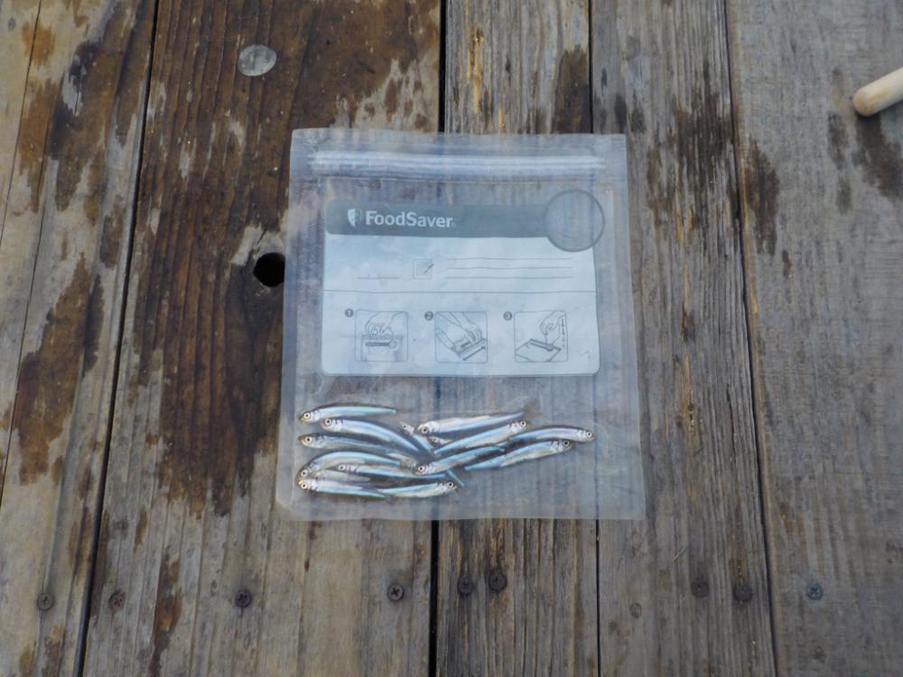 ワカサギ第7戦ー今日も佐仲ダムー