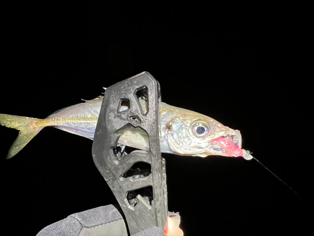 鯵を探して三千里Vel.27