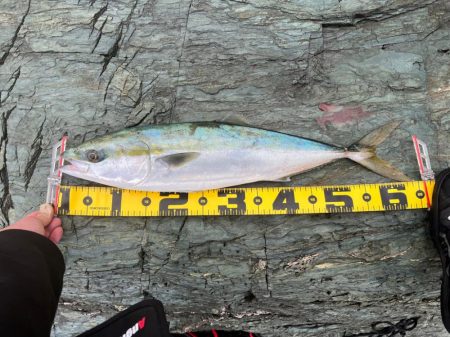 80センチ級が釣れました。