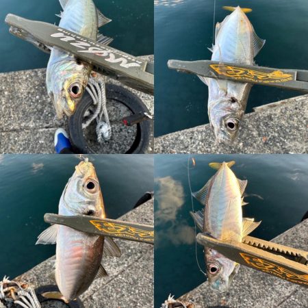 スプリット楽しい〜