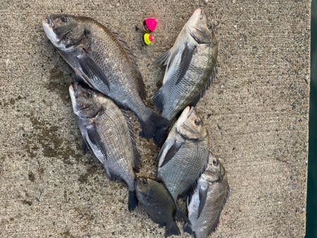 2023年初釣り❗️