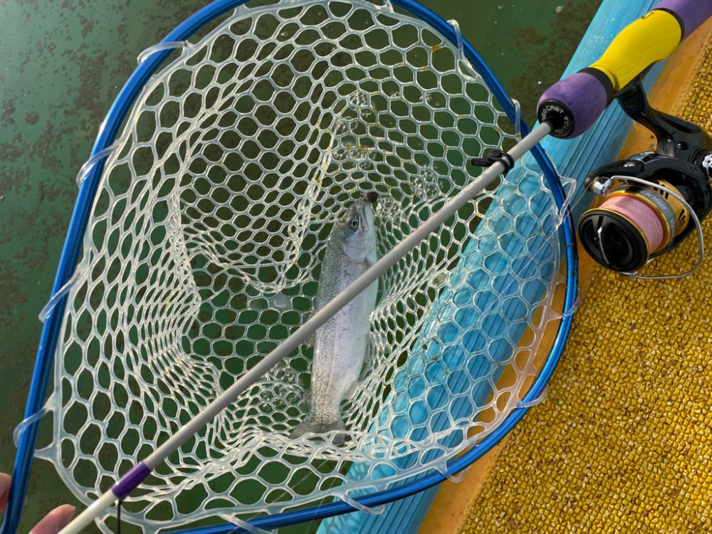 2023初エリアトラウト