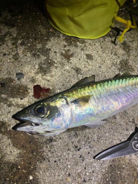 最後にバタバタっと