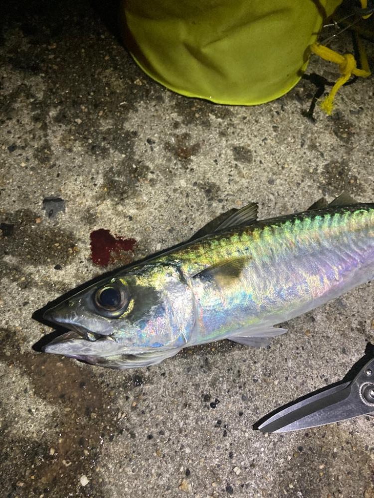 最後にバタバタっと