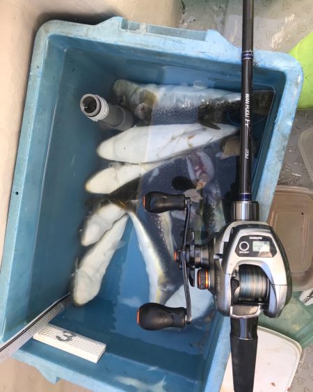 明石ショウサイフグ