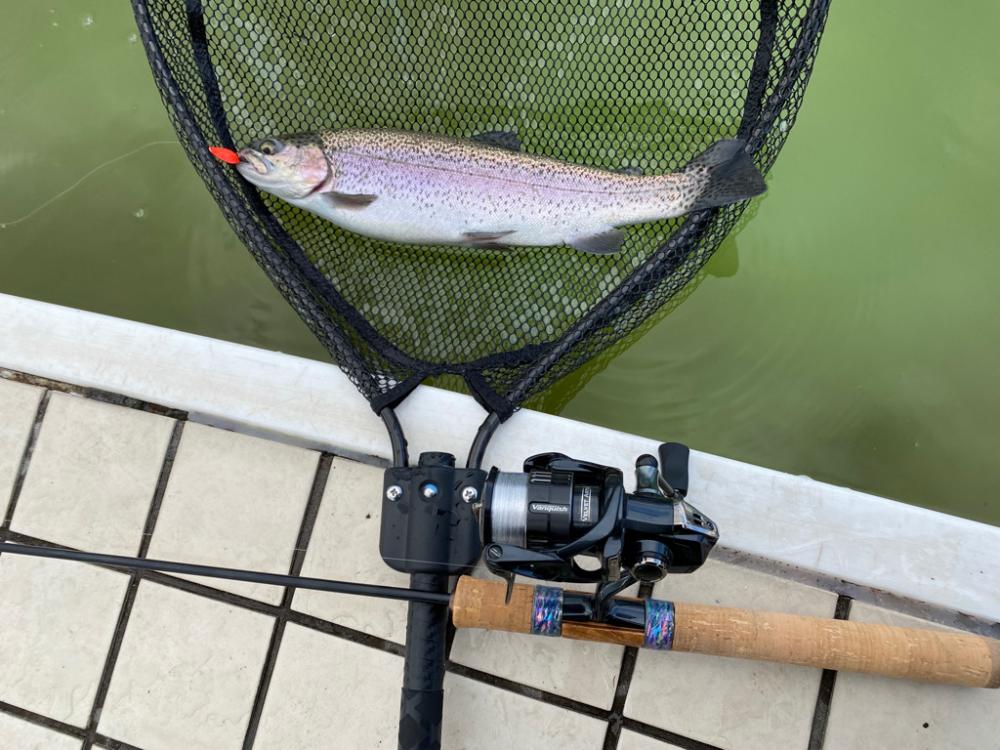 エリアトラウト　亀岡市