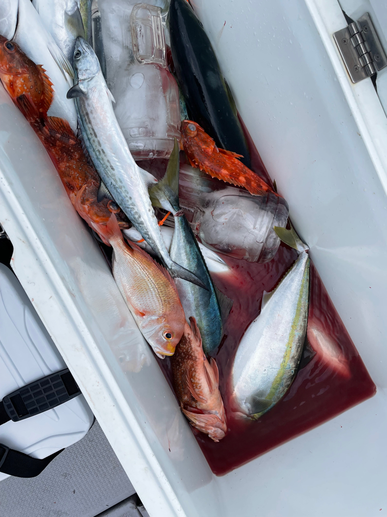 経ヶ岬沖ジギング