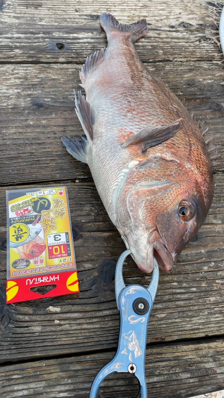 釣堀初めは渋めでした(^◇^;)