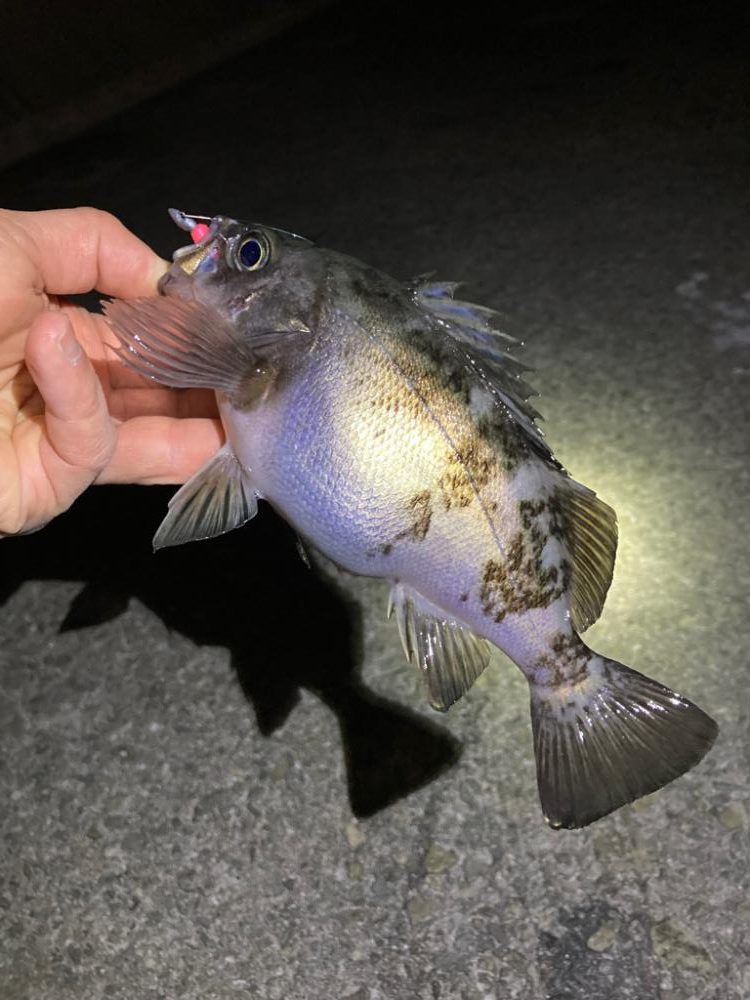 寒波が来る前に