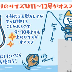 カレイはポロリに御用心にゃ！