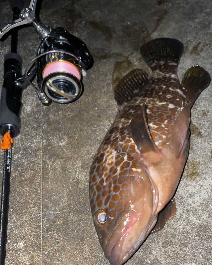 アジングしてると…