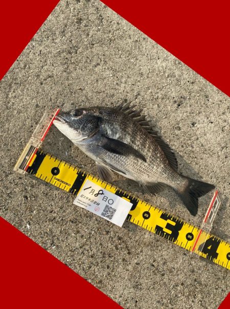 日が上がるとともに釣りスタート