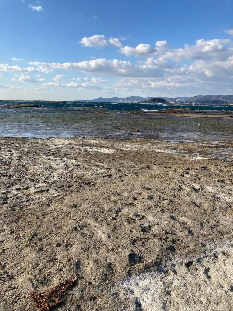 ふかせ事始めはグレ良型でスタート