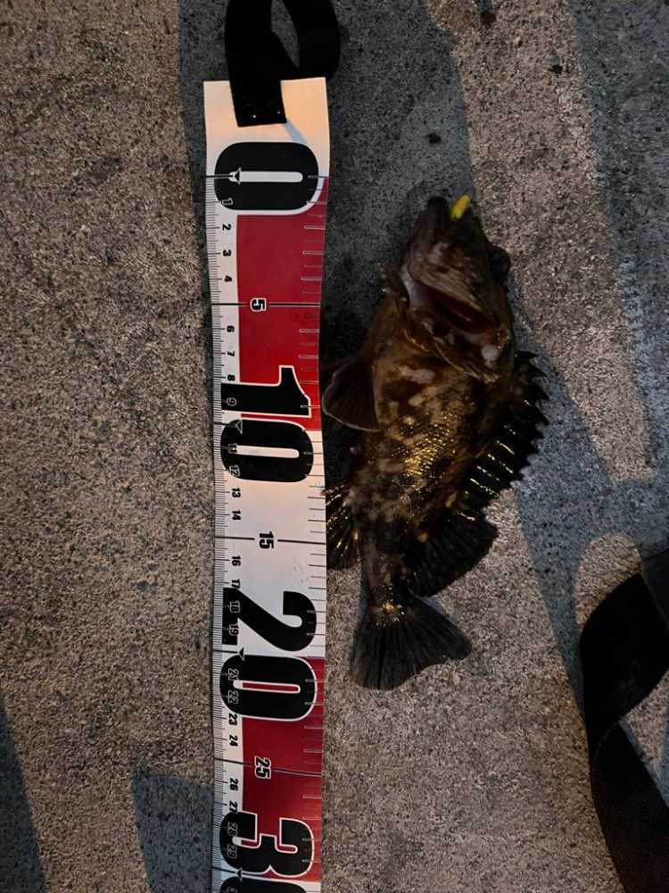 初釣りin四日市