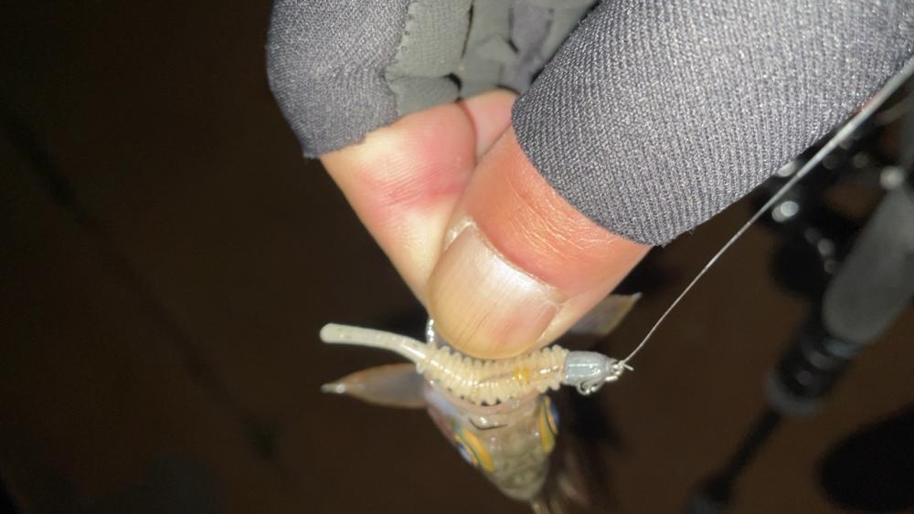 激渋メバリング