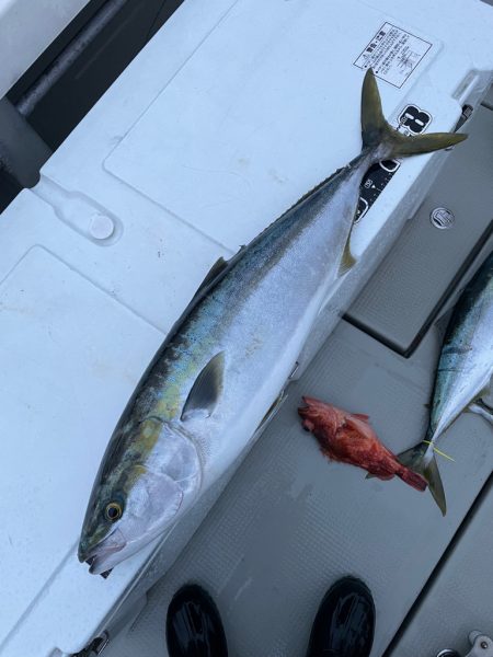 丹後沖ジギング