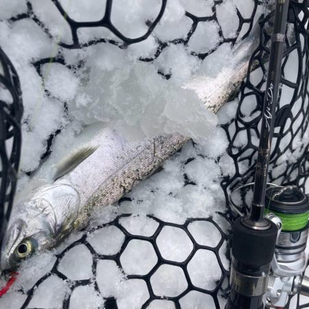 庄原で極寒トラウト