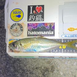 バースデーフィッシング