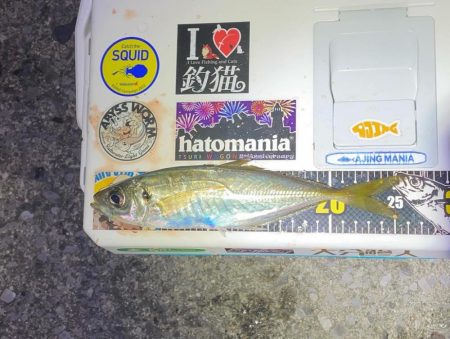 バースデーフィッシング