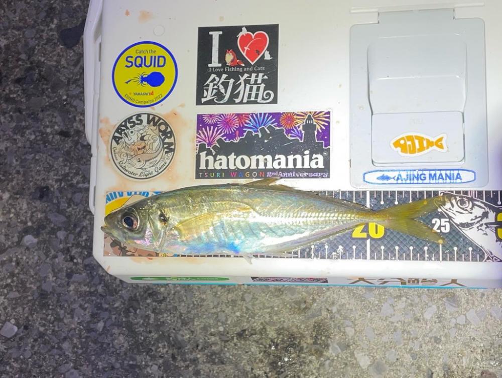 バースデーフィッシング