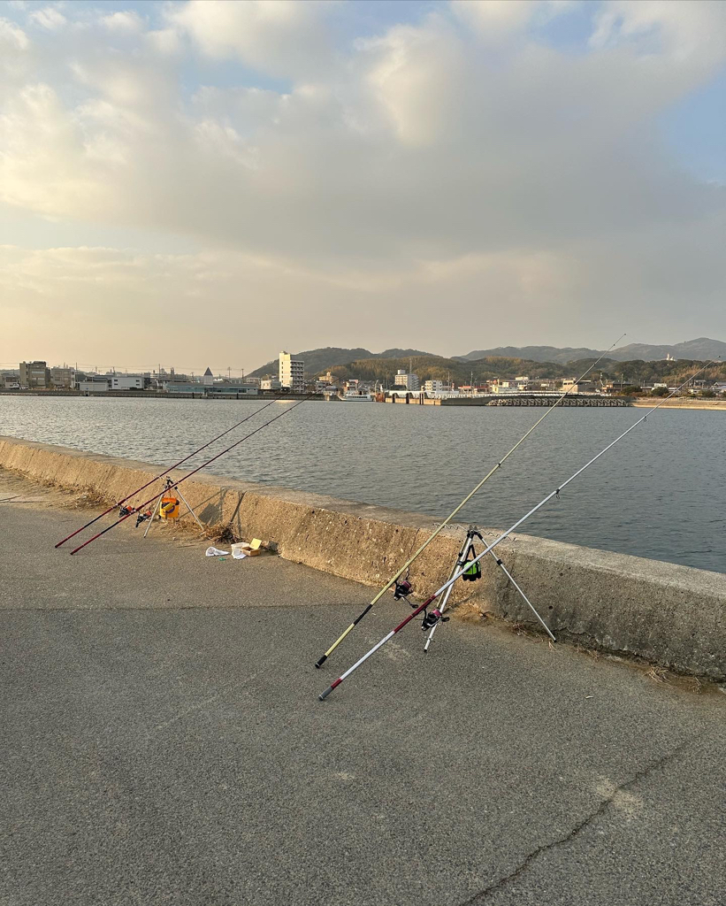 初釣り、淡路島 志筑、津名港